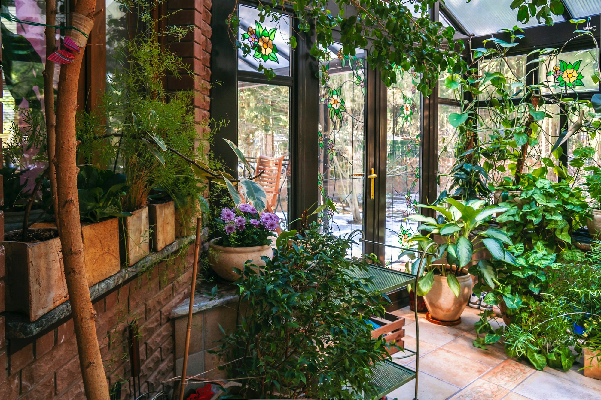 Interior of winter garden with various home plants, glass door and windows.